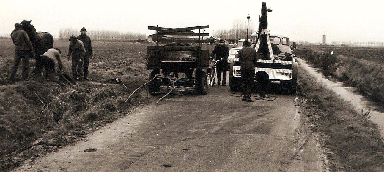 17.paard in de sloot