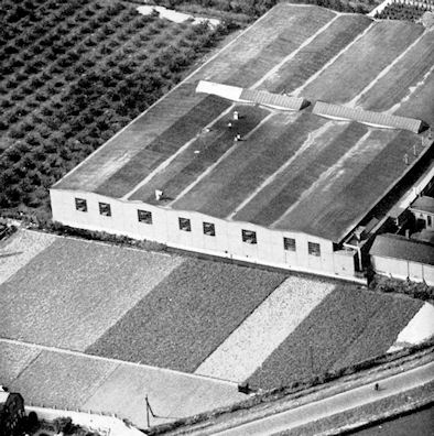 molenaar-3