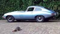 jaguar e type makker 1