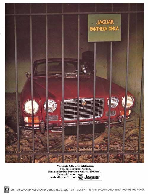 jaguar xj6 00000000 bln